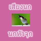 Tête d'oiseau oiseau Thaïlande icône