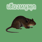 Chuột đồng Sound biểu tượng