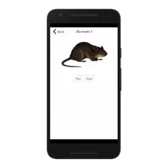 download Arvicole del suono APK