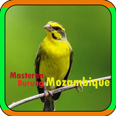 Masteran Burung Mozambique icon