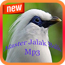 Master Jalak Bali Mp3 APK