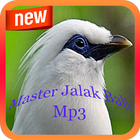 Master Jalak Bali Mp3 ไอคอน