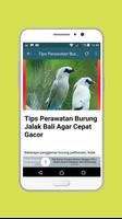 Master Jalak Bali Mp3 screenshot 2