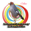 Masteran Poksay Mandarin