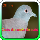 Canto De Pomba Do Mato 아이콘