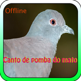 Canto De Pomba Do Mato আইকন