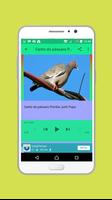 Canto do pássaro Pomba Juriti screenshot 2