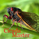 Cicada Master APK