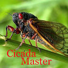 Cicada Master-icoon