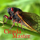 Cicada Master Mp3 Offline आइकन