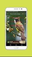 Kicau Cucak Jenggot Offline پوسٹر