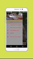 Kicau Cucak Jenggot Offline اسکرین شاٹ 1