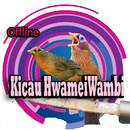 Kicau Hwamei Wambi APK