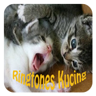 ikon Ringtones Suara Kucing