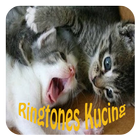 Ringtones Suara Kucing icon
