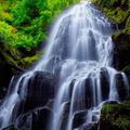 WaterFalls Live Wallpapers
