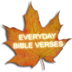 (3D) Everyday Bible Verses