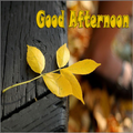 Good Afternoon Messages,Images