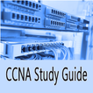 Easy CCNA Switching Guide