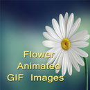 Flower GIF Messages For You APK