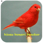 آیکون‌ Kicau Kenari Master