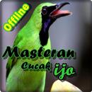 Masteran Cucak Ijo Offline APK