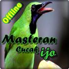Masteran Cucak Ijo Offline icône