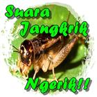 Suara Jangkrik Ngerik أيقونة