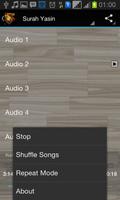 Surah Yasin Audio MP3 capture d'écran 3