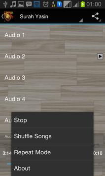 Surah Yasin Audio MP3 screenshot 3
