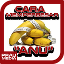 Cara Memperbesar Anu APK