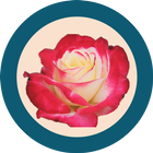 All Country National Flowers icon