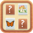 Flip Match icono