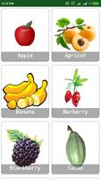 Fruits Book screenshot 2