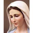 Christian Prayers Holy Rosary -APK