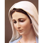 Christian Prayers Holy Rosary  icon