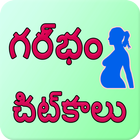 Pregnancy tips telegu-icoon