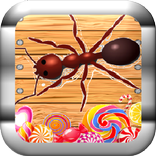 Ant Smasher DX (đơn giản & dễ)