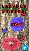 Ladybug Smasher Affiche