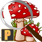 Suivi des champignons Pro icône