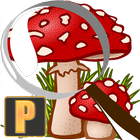 Mushroom Tracker Premium أيقونة