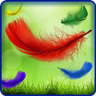 Feather Live Wallpaper HD icône