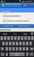 Kodeks wykroczeń i prawo karne captura de pantalla 2