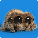 Adorable Little Spider HD Live Wallpaper