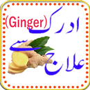 Adrak(Ginger) k Fwaid. APK