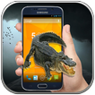 Crocodile in Phone Scary Joke