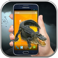 Crocodile in Phone Scary Joke