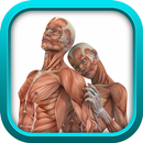 PHYSIOLOGY TEST PREP GAME APP APK