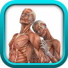 PHYSIOLOGY TEST PREP GAME APP-icoon