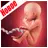 Беременность по Неделям APK